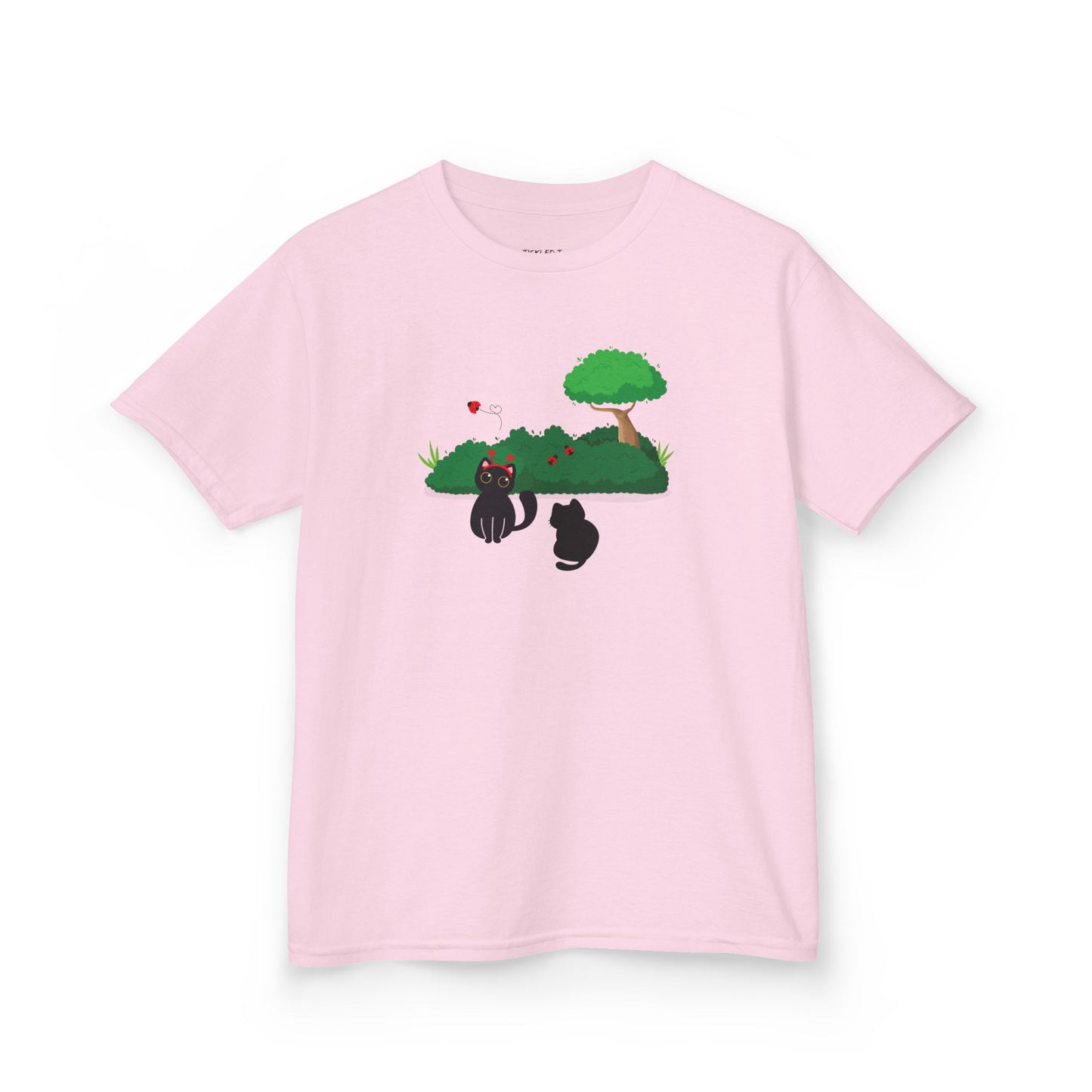 Blackcats and Ladybugs